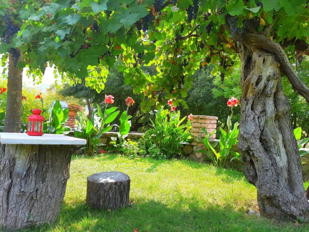 Dimitriou Rooms Gliki Dış mekan fotoğraf